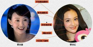 谁爆料明星最多啊视频,谁爆料明星最多，揭秘幕后真相