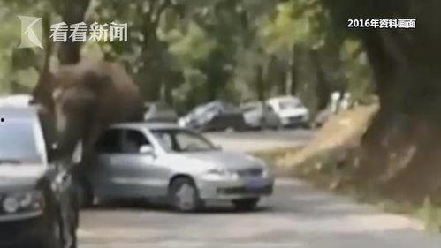 玩车网红爆料视频,玩车界最新爆料视频深度解析